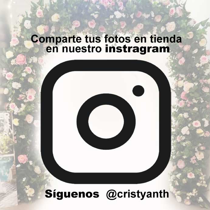 Instagram de Cristyanth Novias